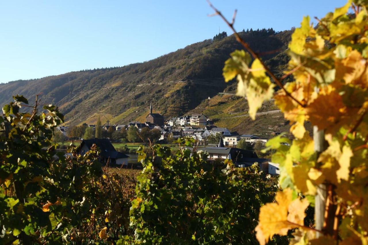 Ferienwohnung Moselblick-Stein Valwig Exterior foto