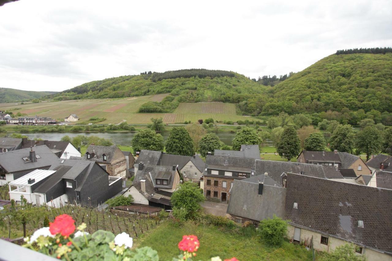 Ferienwohnung Moselblick-Stein Valwig Exterior foto